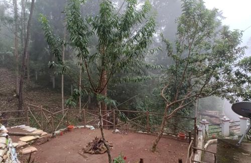Suryanelli Haus | Voyage Munnar Laya Home Stay