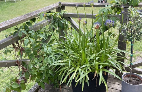 Varmdo Villa | Vrbo Property