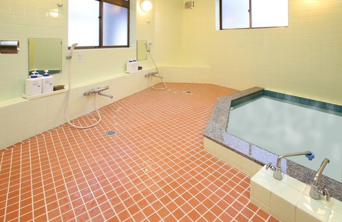 Nozawaonsen Hotel | Wafu Pension MIYAZAWA