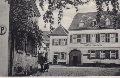 Neustadt-Hambach Wohnung | Waldblick