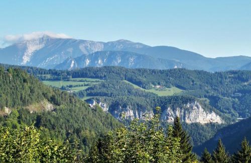 Semmering Wohnung | Waldnest am Semmering