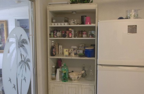 Ormond By The Sea Palt Hütte | Gehen Sie von diesem friedlichen, tierfreundlichen Versteck zum Strand.