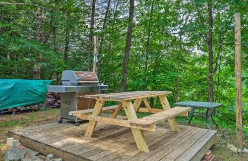 Jamaica Haus | Warm and Inviting Jamaica Cabin with Grill Ski and Hike