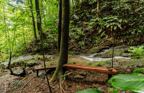 San Isidro de El General Villa | Costa Rican Jungle Experience