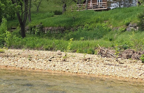 Ponce De Leon Kabine | Waterfront cabin w/creek waterfall, pond & 2 decks. Secluded in the Ozark hills.