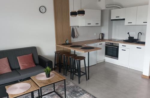 Chmielno Wohnung | Wczasy Chmielno Apartament PUDROWY