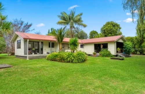 Matakana Haus | Weeping Willow