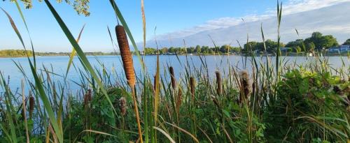 Lakeview Haus | Welcome to Bluebird Cottage