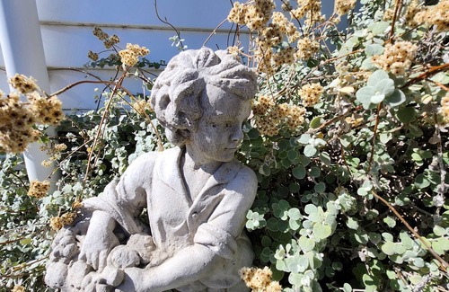 Martinborough Haus | Willkommen in der hinteren Koppel