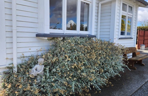 Martinborough Haus | Willkommen in der hinteren Koppel