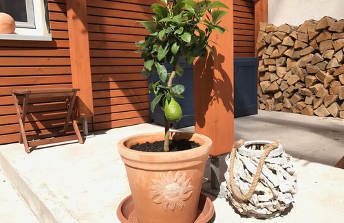 Gollheim Haus | Willkommen in der Villa Kerzenheimer Tor