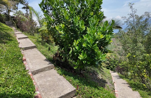 Vergara Haus | Welcoming 1-bedroom bungalow in Cundinamarca