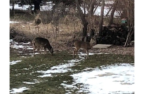Sleepy Hollow Sonstige | West Dundee .