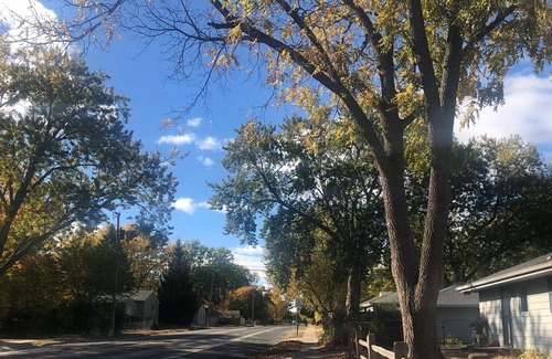 East Bloomington Haus | Whole home with spacious kitchen cozy fireplace by airport mall of American