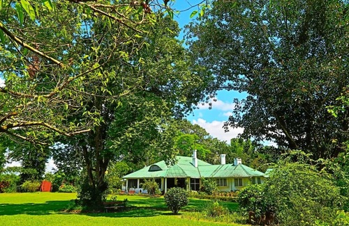 Balipara Hütte | Wild Mahseer