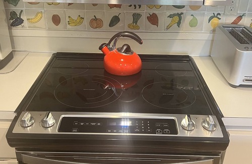 Elkhorn Eigentumswohnung | Wildblumen-Luxus: NIEDRIGE PREISE! VIP ALLES! SV-Poolpass, Parkplatz, Schließfächer für Skier