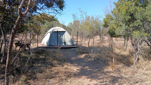 Kareeberg Sonstige | Wildland Safaris