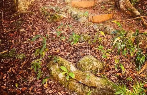 Malanda Hütte | Wildlife & River Cottage nestled in rainforest