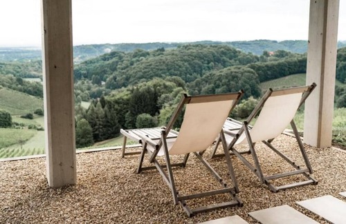 Grassnitzberg Haus | winemaker's house 2