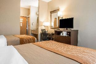 New Stanton Hotel | Wingate by Wyndham Pittsburgh New Stanton