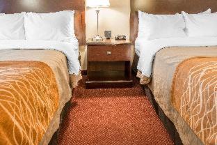 New Stanton Hotel | Wingate by Wyndham Pittsburgh New Stanton