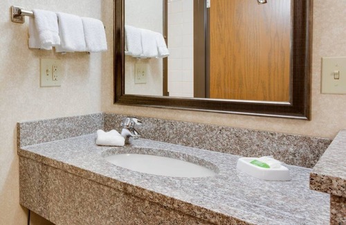 Fenton Hotel | Wingate by Wyndham St. Louis/Fenton Route 66