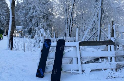 Winterberg Wohnung | Winterberg Retreat with Indoor Pool and Sauna