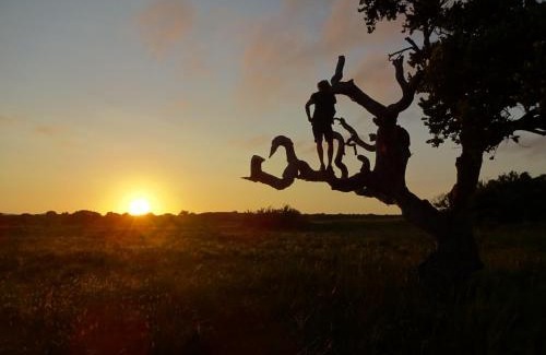 Umhlabuyalingana Sonstige | Winterdodgers Backpackers and Campsite
