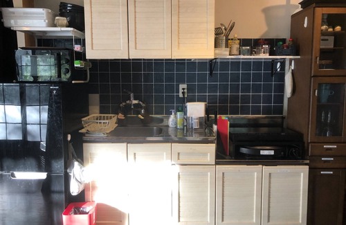 Tsukuba Haus | Within an hour from the city center A hideout tha - Antique Villa Lotus / Tsukuba Ibaraki