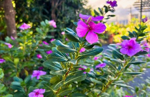 Yilan Hotel | Wogo Hotel