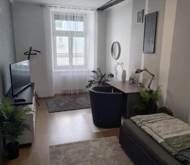 Leoben Wohnung | Wohnung in Leoben Zentrum Zwischen Hauptplatz und Stadtpark