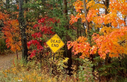 Cheboygan Hütte | Wunderbares Lake Huron Family Cottage --- >> Die Preise sind für Oktober gefallen !!