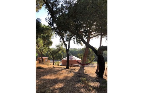 Vale de Mulheres Haus | Wonderland Yurt - Quinta Alada