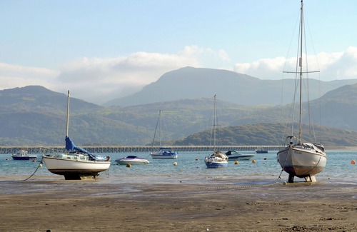 Cwrt Hütte | Woodland View Bungalow 1 - UK10492