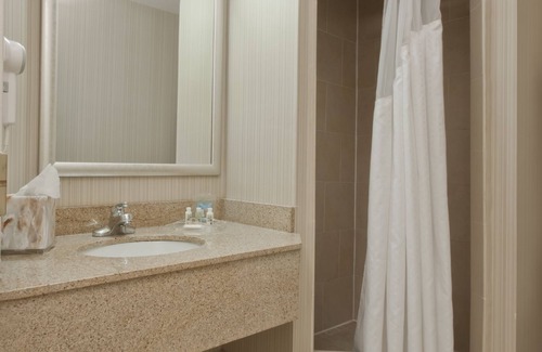 Flint Hotel | Wyndham Flint MI/Grand Blanc/Bishop Airport/Conference Ct