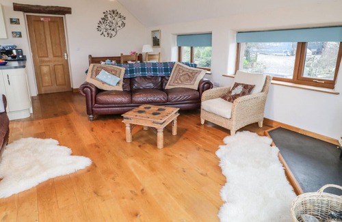 Machynlleth Haus | Y Daflod, MACHYNLLETH