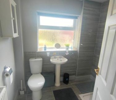 Newtown Wohnung | Y Nyth