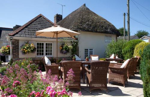 Dorchester Haus | Yalbury Cottage