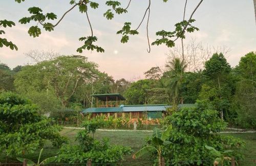 Puerto Jimenez Haus | YEJOS Jungle Lodge