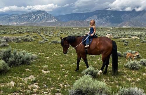 Clark Haus | Yellowstone River! Mountain Views!