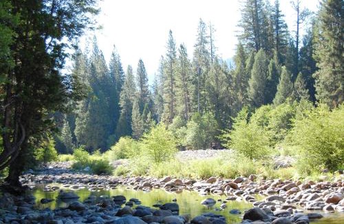 North Wawona Haus | Yosemite's Riverfront Retreat