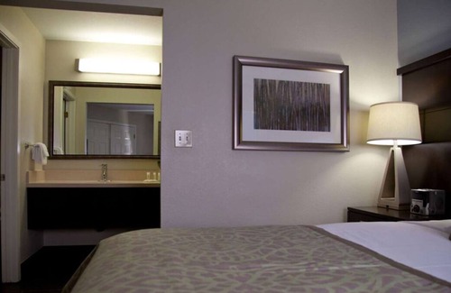 Sunnyvale Resort | You Found it! FOUR Comfortable 1BR Suites, Outdoor Swimming Pool, Pets Allowed!