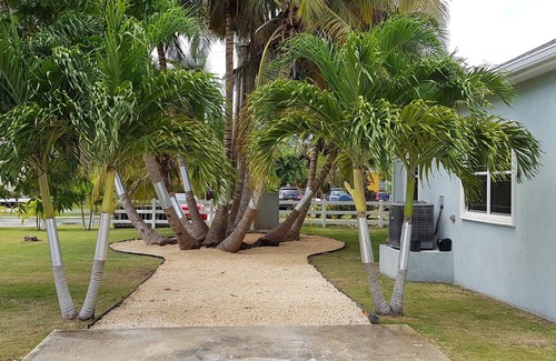 Newlands Wohnung | Ihr Zuhause im Paradies, North Palm Villas 3 Schlafzimmer, 2 Bäder zu vermieten.