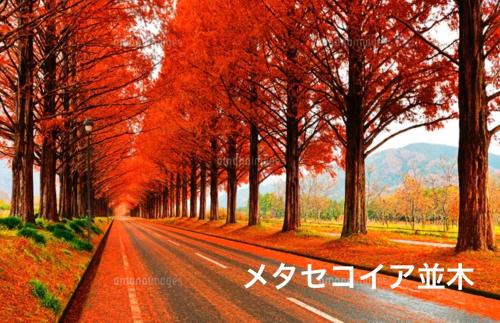 Nagahama Wohnung | YURURIBASE 凛 -LakeBiwa,Nagahama