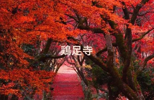 Nagahama Wohnung | YURURIBASE 凛 -LakeBiwa,Nagahama