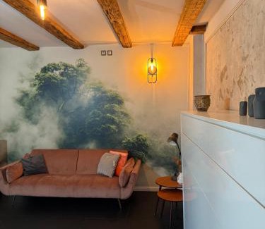 Katowice Wohnung | Z a b r s a i n t Apartamenty z Duszą xVIII