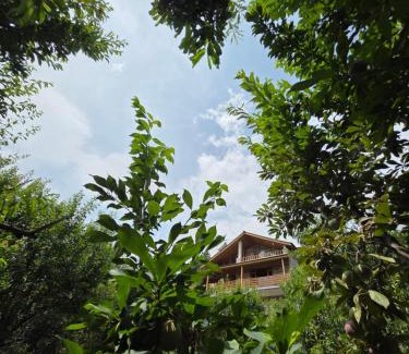 Manali Haus | Zankhrpas A Himalayan Home - Manali