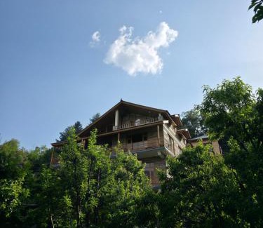 Manali Haus | Zankhrpas A Himalayan Home - Manali
