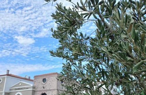 Ayvalik Hotel | Zarbalı Cunda