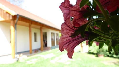 Szilvasvarad Haus | Zergeboglár Vendégház